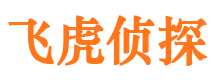 祁阳外遇出轨调查取证